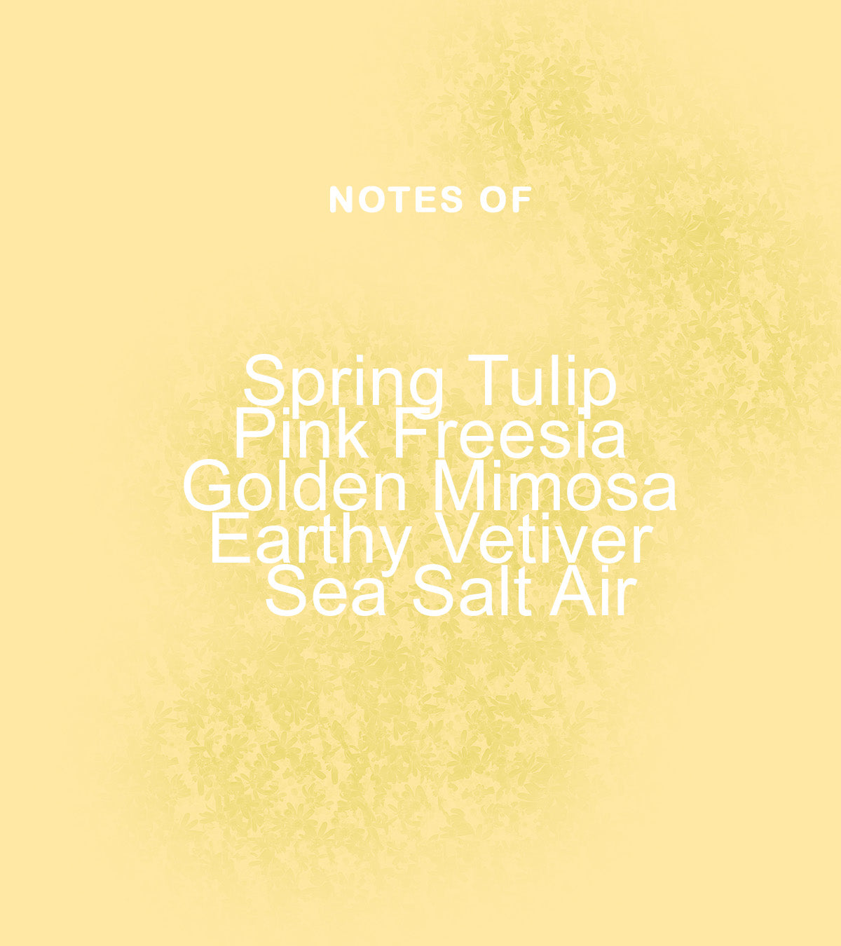 Tulip Crush